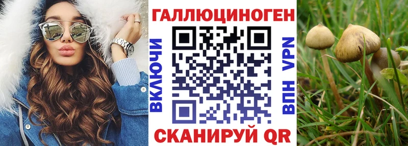 Галлюциногенные грибы MAGIC MUSHROOMS  Родники 